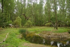 dsc04873