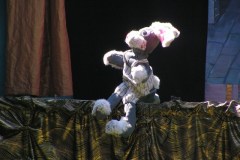 KONICA MINOLTA DIGITAL CAMERA