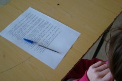 dsc08030