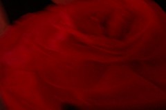 dsc06080