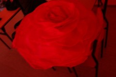 dsc06081