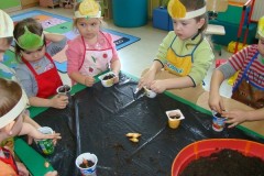 5_1