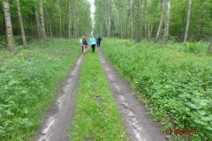 dsc00649