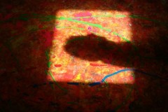 dsc06167_1
