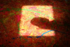dsc06170