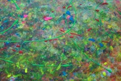 dsc06180
