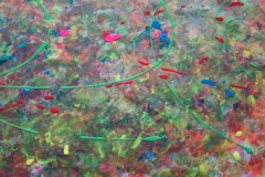 dsc06181