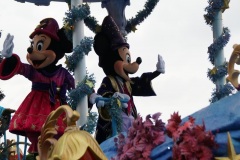 SONY DSC