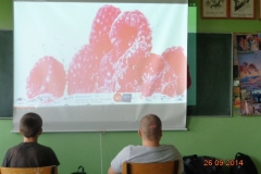 dsc00917