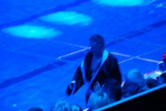 dsc01640