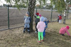 img_6731