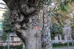 dsc02404