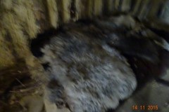 dsc03439