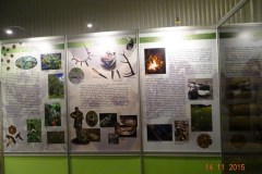 dsc03656