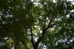 dsc04498