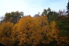 dsc04531_1