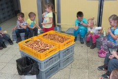 img_7470