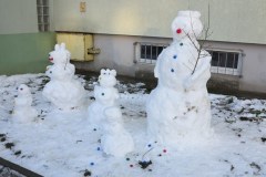 img_7902