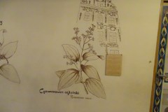 dsc01891