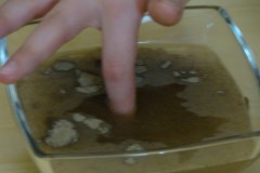dsc06409