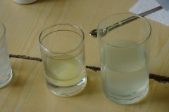 dsc06725