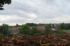 dsc06919