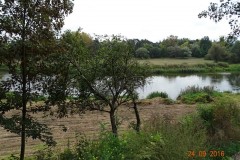 dsc06974