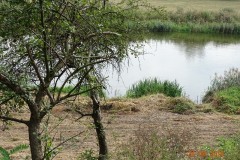 dsc06975