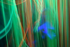 dsc07484