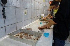dsc07508