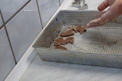 dsc07611