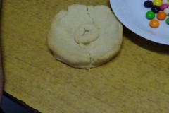 dsc08010