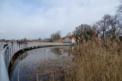 dsc08071