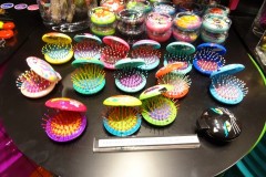 dsc09310