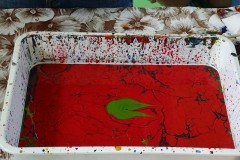 dsc09599