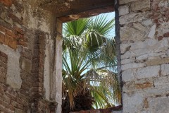 dsc08151