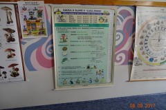 dsc08564