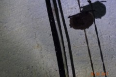 dsc08935