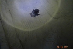 dsc08950