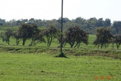 dsc08987
