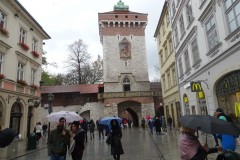 dsc00951