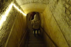 dsc00984