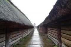 dsc01319