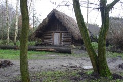 dsc01331