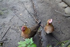 dsc01343