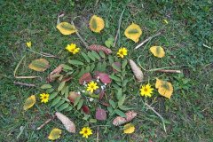 dsc00504