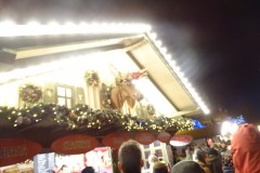 dsc03095