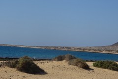 dsc03401