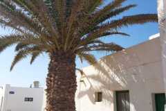 img-20200119-wa0067