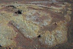 dsc03950